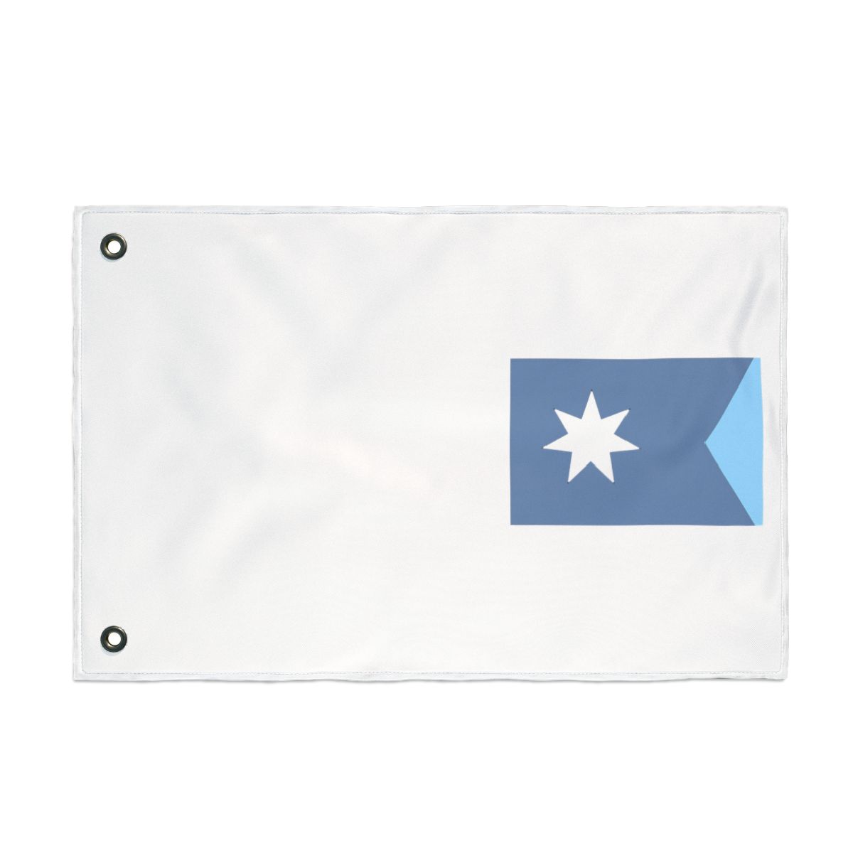 Minnesota Flag Frosted Glass Mug